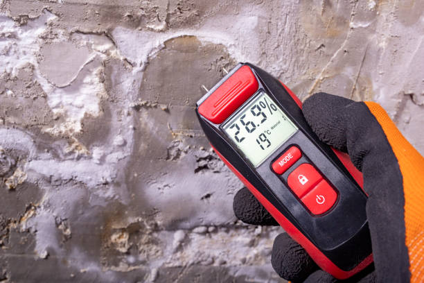 Best Black Mold Removal  in Leesburg, FL
