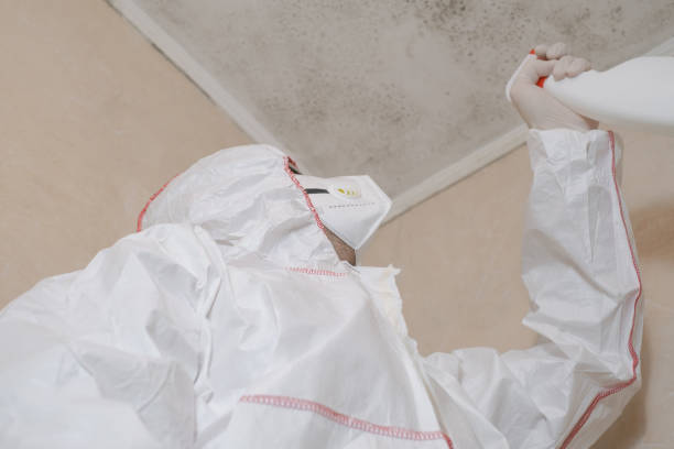 Best Office Mold Removal Services  in Leesburg, FL