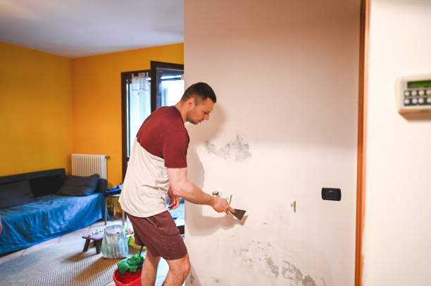Best Affordable Mold Removal  in Leesburg, FL